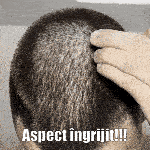 Pudră Magică pentru Rădăcini