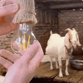 Cameră de Supraveghere Inteligentă